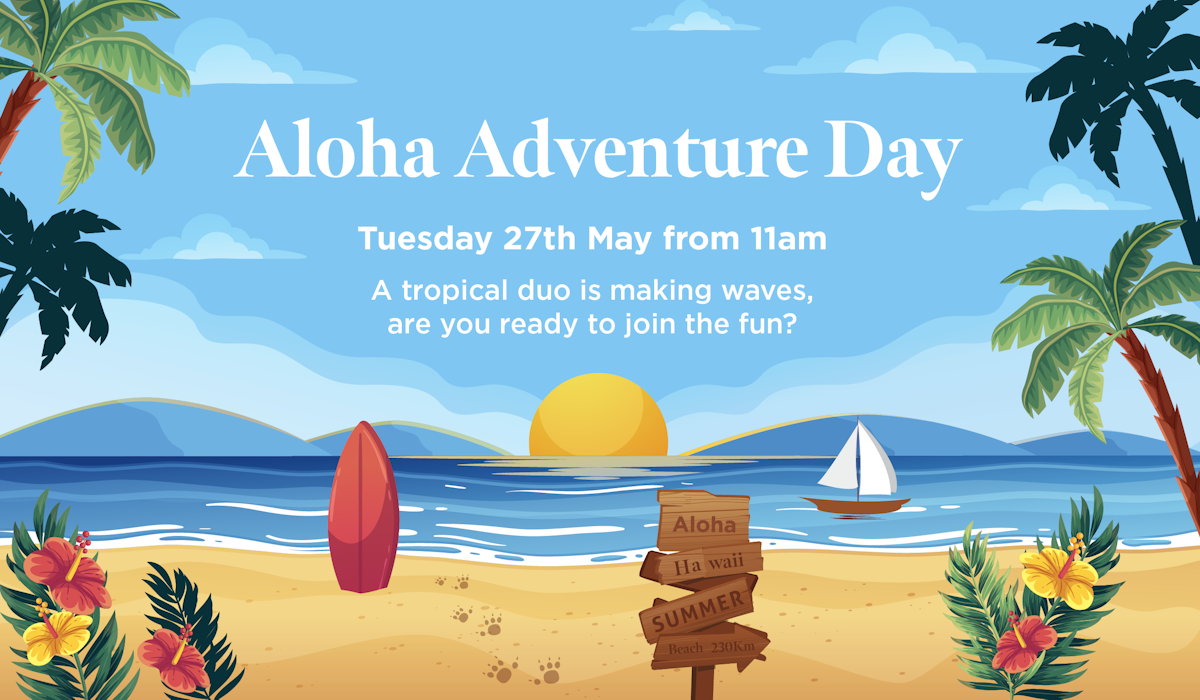 Buttermarket Centre aloha adventure day poster